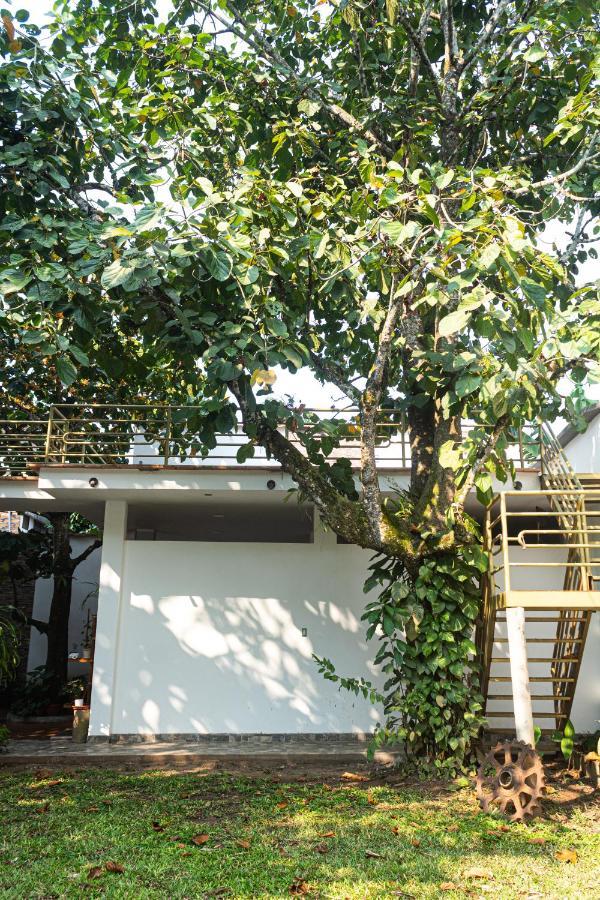 Green House Tarapoto Ngoại thất bức ảnh