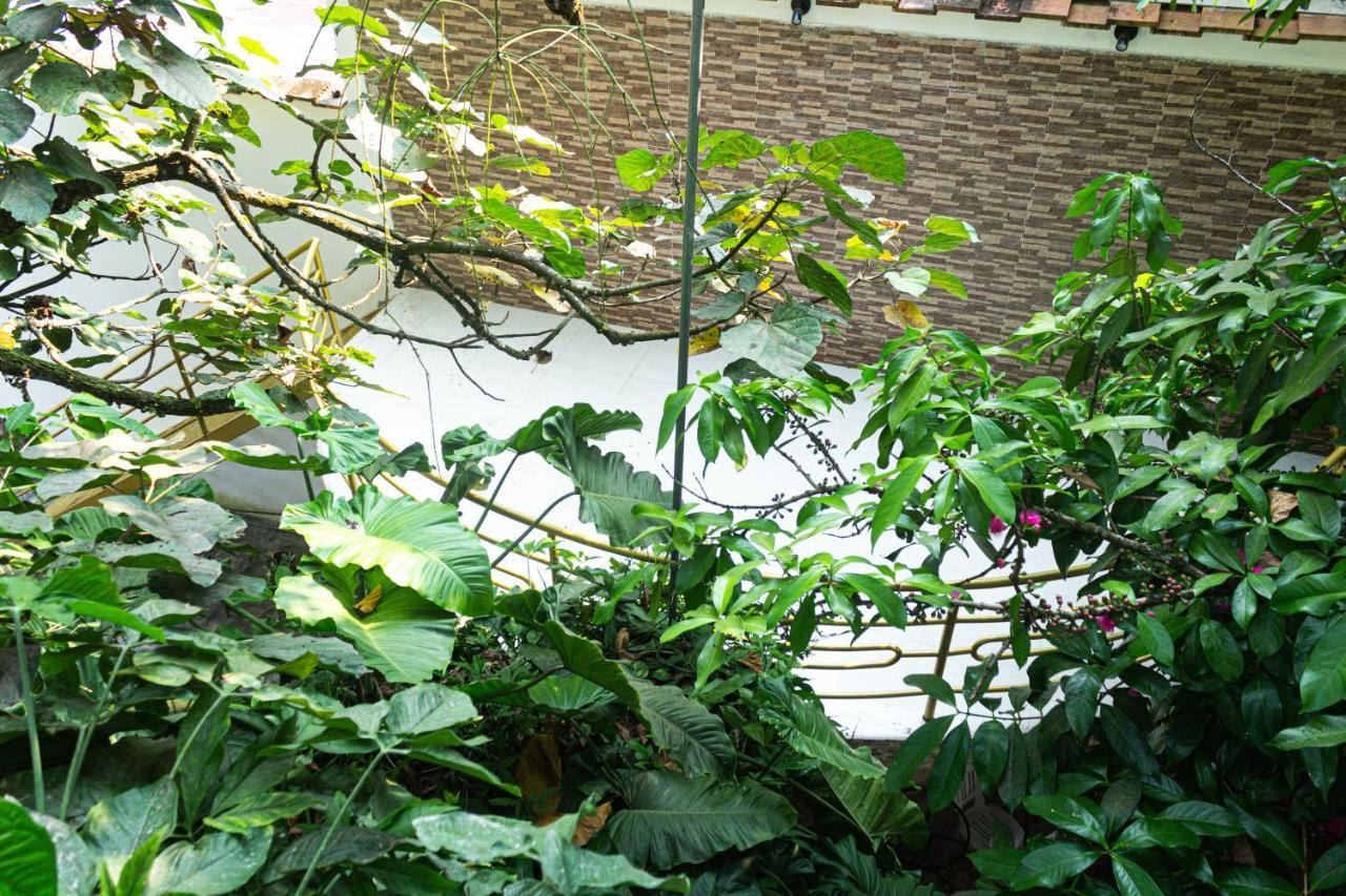 Green House Tarapoto Ngoại thất bức ảnh